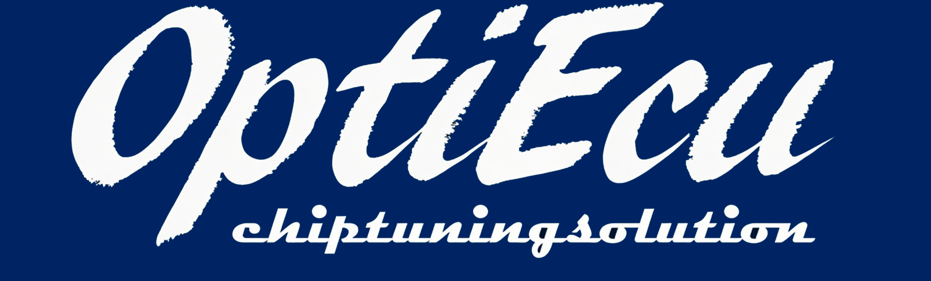 OptiEcu Portal – Support Services